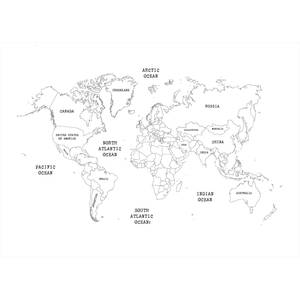 Papier peint intissé Worldmap Noir / Blanc - 4 x 2,8 x 0,02 m