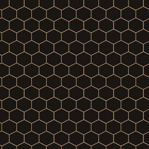 Vliestapete Hexagon Geo Schwarz - 0,52m  x 10,05m  x 0,02m - Schwarz / Gold