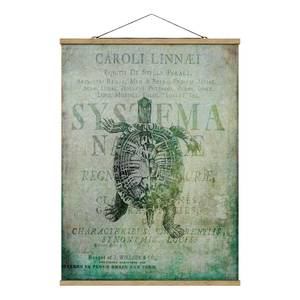 Stoffbild Collage Antike Schildkröte Textil; Massivholz (Holzart) - Türkis - 100cm x 133,5cm x 0,3cm - 100 x 134 cm