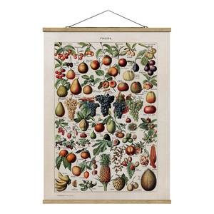 Tableau déco Vintage Botanique Fruits Toile et bois massif - Multicolore - 100 cm x 133,5 cm x 0,3 cm - 100 x 134 cm