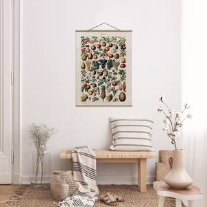 Stoffbild Vintage Lehrtafel Früchte Textil; Massivholz (Holzart) - Mehrfarbig - 100cm x 133,5cm x 0,3cm - 100 x 134 cm