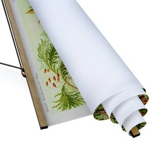 Quadro di tessuto Piante e fiori Tessuto. Legno massello - Verde - 100cm x 133,5cm x 0,3cm - 100 x 134 cm