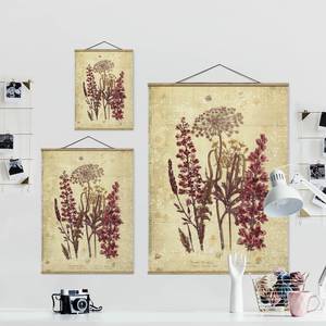 Tableau déco Vintage Étude de fleurs Toile et bois massif - Rose - 100 cm x 133,5 cm x 0,3 cm - 100 x 134 cm