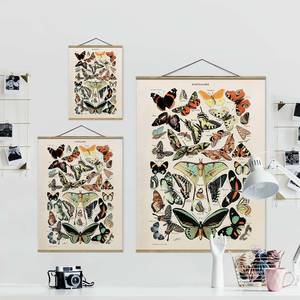 Tableau déco Vintage Papillons Toile et bois massif - Multicolore - 100 cm x 133,5 cm x 0,3 cm - 100 x 134 cm