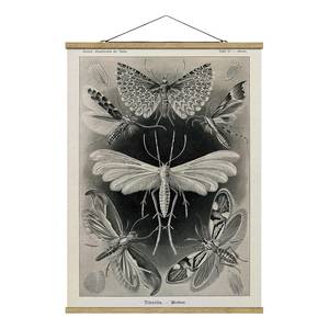 Wandkleed  Motten Nachtvlinders textiel & massief hout (houtsoort) - zwart/wit - 100cm x 133,5cm x 0,3cm - 100 x 134 cm