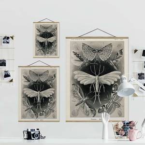 Wandkleed  Motten Nachtvlinders textiel & massief hout (houtsoort) - zwart/wit - 100cm x 133,5cm x 0,3cm - 100 x 134 cm