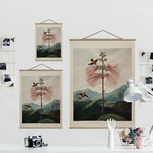 Stoffbild Botanik Blüte & Kolibri Textil; Massivholz (Holzart) - Mehrfarbig - 100cm x 133,5cm x 0,3cm - 100 x 134 cm