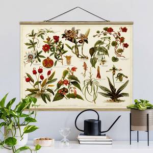 Wandkleed Tropische Plantkunde II textiel & massief hout (houtsoort) - meerdere kleuren - 100cm x 75cm x 0,3cm - 100 x 75 cm