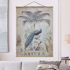 Stoffbild Shabby Chic Collage Pfau Textil; Massivholz (Holzart) - Grau - 50cm x 66,4cm x 0,3cm - 50 x 66 cm