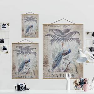 Stoffbild Shabby Chic Collage Pfau Textil; Massivholz (Holzart) - Grau - 80cm x 106,5cm x 0,3cm - 80 x 107 cm