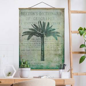 Stoffbild  Vintage Collage Antike Palme Textil; Massivholz (Holzart) - Grün - 80cm x 106,5cm x 0,3cm - 80 x 107 cm