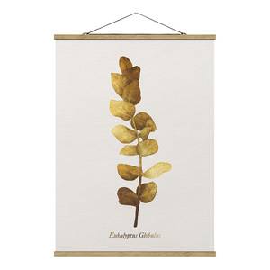 Stoffbild  Gold Eukalyptus Textil; Massivholz (Holzart) - Gold - 50cm x 66,4cm x 0,3cm - 50 x 66 cm