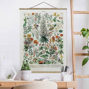 Stoffbild Vintage Lehrtafel Blumen I Textil; Massivholz (Holzart) - Mehrfarbig - 50cm x 66,4cm x 0,3cm - 50 x 66 cm