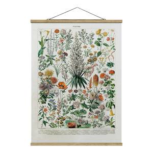 Stoffbild Vintage Lehrtafel Blumen I Textil; Massivholz (Holzart) - Mehrfarbig - 80cm x 106,5cm x 0,3cm - 80 x 107 cm