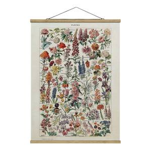 Stoffbild Vintage Lehrtafel Blumen V Textil; Massivholz (Holzart) - Mehrfarbig - 50cm x 66,4cm x 0,3cm - 50 x 66 cm
