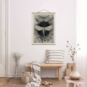 Wandkleed  Motten Nachtvlinders textiel & massief hout (houtsoort) - zwart/wit - 35cm x 46,5cm x 0,3cm - 35 x 47 cm