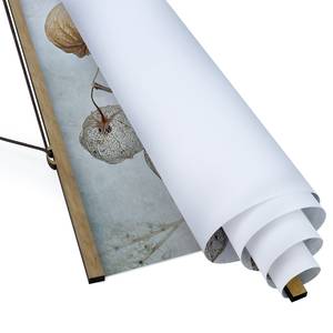 Stoffbild Lampionfrüchte im Herbst Textil; Massivholz (Holzart) - Beige - 35cm x 46,5cm x 0,3cm - 35 x 47 cm