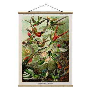Wandkleed Vintage Kolibries textiel & massief hout (houtsoort) - meerdere kleuren - 50cm x 66,4cm x 0,3cm - 50 x 66 cm