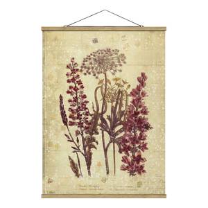 Tableau déco Vintage Étude de fleurs Toile et bois massif - Rose - 50 cm x 66,4 cm x 0,3 cm - 50 x 66 cm