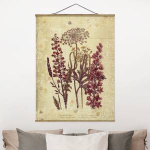 Tableau déco Vintage Étude de fleurs Toile et bois massif - Rose - 50 cm x 66,4 cm x 0,3 cm - 50 x 66 cm