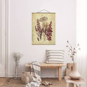 Tableau déco Vintage Étude de fleurs Toile et bois massif - Rose - 50 cm x 66,4 cm x 0,3 cm - 50 x 66 cm