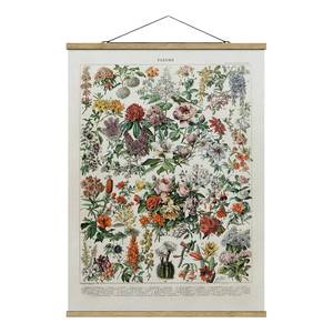 Stoffbild Vintage Lehrtafel Blumen II Textil; Massivholz (Holzart) - Mehrfarbig - 80cm x 106,5cm x 0,3cm - 80 x 107 cm