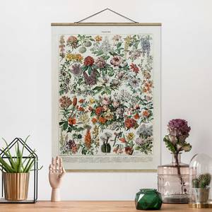 Stoffbild Vintage Lehrtafel Blumen II Textil; Massivholz (Holzart) - Mehrfarbig - 80cm x 106,5cm x 0,3cm - 80 x 107 cm