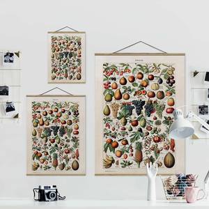 Tableau déco Vintage Botanique Fruits Toile et bois massif - Multicolore - 80 cm x 106,5 cm x 0,3 cm - 80 x 107 cm