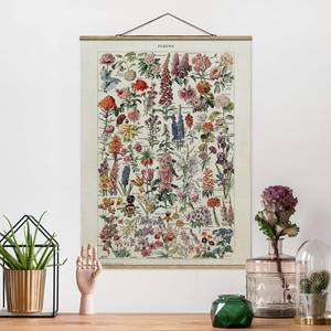 Tableau déco Vintage Botanique Fleurs V Toile et bois massif - Multicolore - 80 cm x 106,5 cm x 0,3 cm - 80 x 107 cm