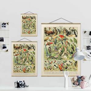 Tableau déco Vintage Oiseaux Toile et bois massif - Multicolore - 80 cm x 106,5 cm x 0,3 cm - 80 x 107 cm