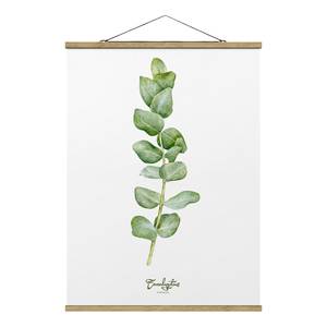 Stoffbild Aquarell Botanik Eukalyptus Textil; Massivholz (Holzart) - Weiß - 35cm x 46,5cm x 0,3cm - 35 x 47 cm
