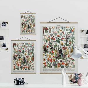 Stoffbild Vintage Lehrtafel Blumen IV Textil; Massivholz (Holzart) - Mehrfarbig - 35cm x 46,5cm x 0,3cm - 35 x 47 cm
