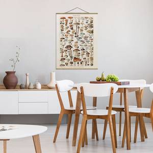 Stoffbild Vintage Lehrtafel Pilze Textil; Massivholz (Holzart) - Beige - 35cm x 46,5cm x 0,3cm - 35 x 47 cm