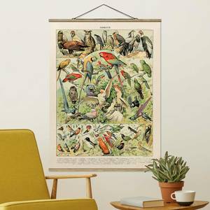Stoffbild Vintage Lehrtafel Vögel Textil; Massivholz (Holzart) - Mehrfarbig - 50cm x 66,4cm x 0,3cm - 50 x 66 cm
