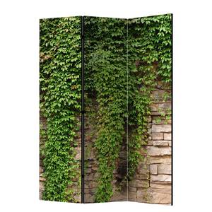Paravent Ivy wall Intissé sur bois massif - Vert - 3 éléments