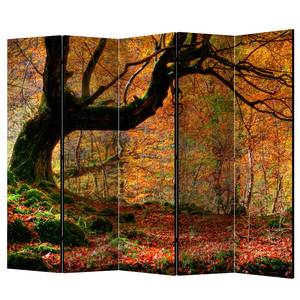 Paravent Autumn Forest and Leaves Vlies auf Massivholz  - Orange- 5-teilig