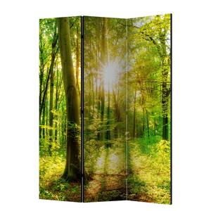 Kamerscherm Forest Rays vlies op massief hout  - groen - 3-delige set