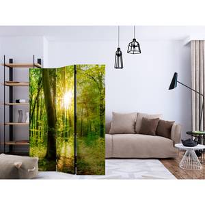 Kamerscherm Forest Rays vlies op massief hout  - groen - 3-delige set