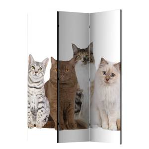 Kamerscherm Sweet Cats vlies op massief hout  - meerdere kleuren - 3-delige set