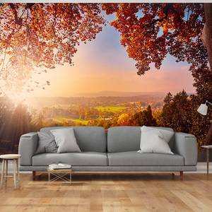 Vlies-fotobehang Autumn Delight vlies - meerdere kleuren - 350 x 245 cm