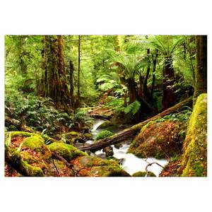 Vlies-fotobehang Forest Brook vlies - groen - 100 x 70 cm