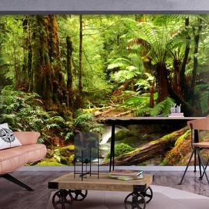 Vlies-fotobehang Forest Brook vlies - groen - 100 x 70 cm