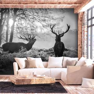 Vlies-fotobehang Deers in the Morning vlies - zwart/wit - 450 x 315 cm