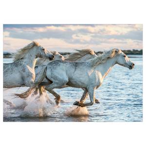 Vlies Fototapete Wild Race Vlies - Mehrfarbig - 400 x 280 cm