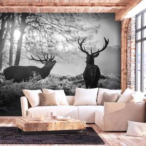 Papier peint intissé Deers in Morning Intissé - Noir / Blanc - 250 x 175 cm