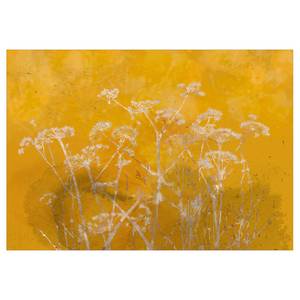 Fototapete Meadow Bathed in the Sun Vlies - Gelb - 150 x 105 cm
