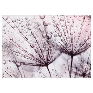 Papier peint intissé Rainy Time Intissé - Rose - 450 x 315 cm