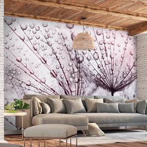 Vlies-fotobehang Rainy Time vlies - roze - 400 x 280 cm
