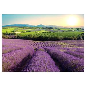 Papier peint intissé Lavender Field Intissé - Violet - 150 x 105 cm