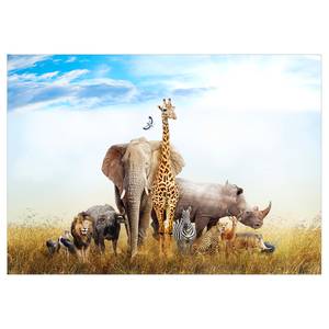 Fotomurale Fauna of Africa Tessuto non tessuto - Multicolore - 350 x 245 cm